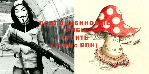 шишки Покров
