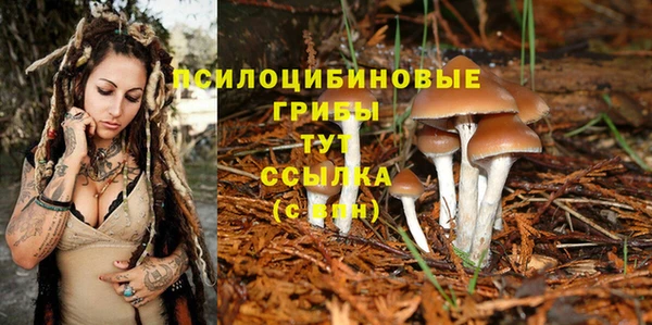 2c-b Осташков
