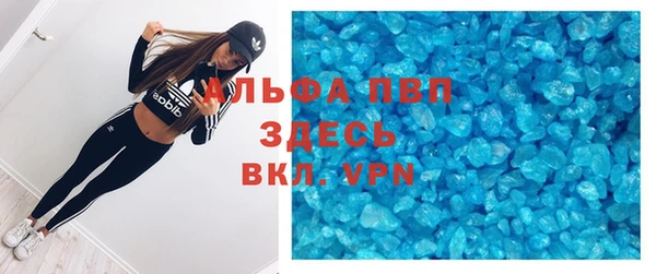 СК Покачи