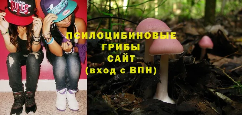 Псилоцибиновые грибы MAGIC MUSHROOMS  Хабаровск 