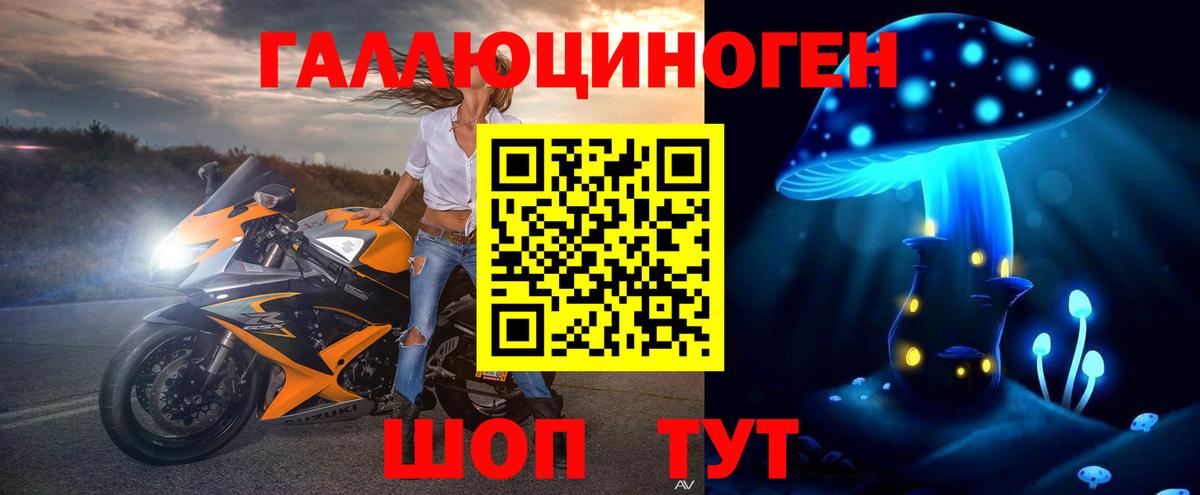 Псилоцибиновые грибы Psilocybe  наркотики  Хабаровск 