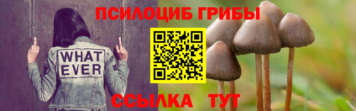 Псилоцибиновые грибы Magic Shrooms Хабаровск