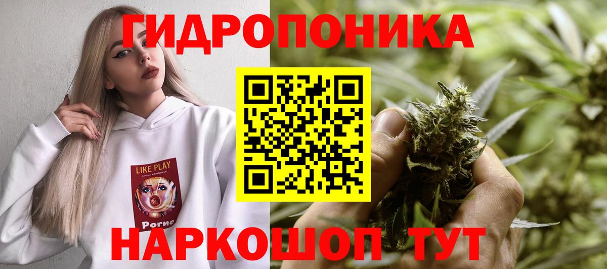 Бошки Шишки White Widow  Бошки марихуана VHQ  Хабаровск  Каннабис план 